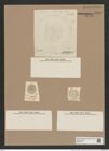 Stephanopyxis (diversae spceis...?) (de-Toni-Nr.: Genus 187) Zeichnungen Sammlung Grunow Nr. 8313 (NHMW-BOT-W0377713)